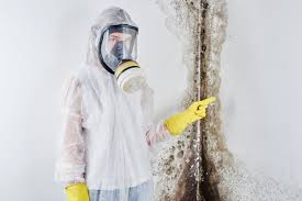 Best Forensic Mold Investigation  in Cornelia, GA